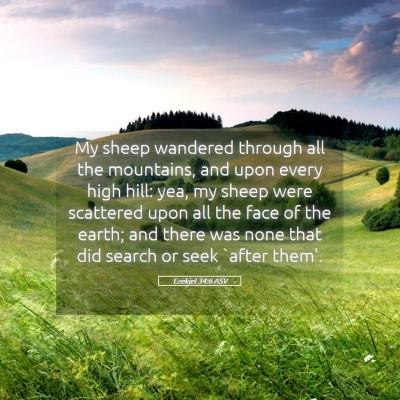 Picture 05 - Ezekiel 34:6 ASV - My sheep wandered through all the mountains, and - Bible Verse Picture