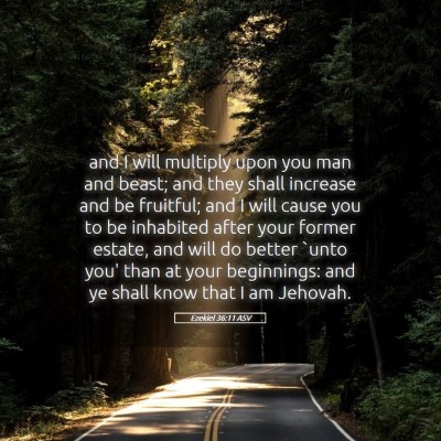 Picture 05 - Ezekiel 36:11 ASV - and I will multiply upon you man and beast; and - Bible Verse Picture
