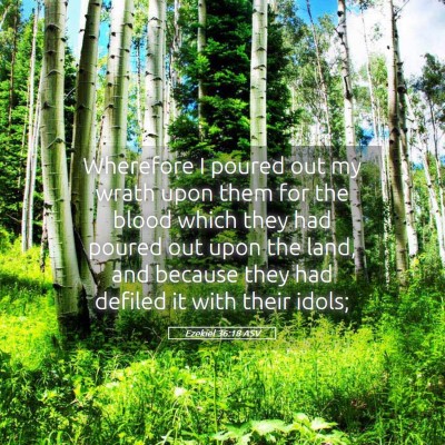 Picture 05 - Ezekiel 36:18 ASV - Wherefore I poured out my wrath upon them for the - Bible Verse Picture