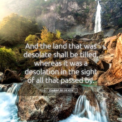 Picture 05 - Ezekiel 36:34 ASV - And the land that was desolate shall be tilled, - Bible Verse Picture