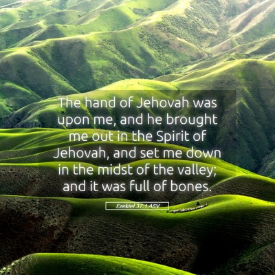 Picture 05 - Ezekiel 37:1 ASV - The hand of Jehovah was upon me, and he brought - Bible Verse Picture