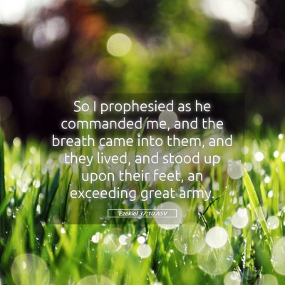 Picture 05 - Ezekiel 37:10 ASV - So I prophesied as he commanded me, and the - Bible Verse Picture