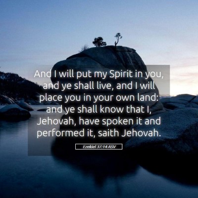 Picture 05 - Ezekiel 37:14 ASV - And I will put my Spirit in you, and ye shall - Bible Verse Picture