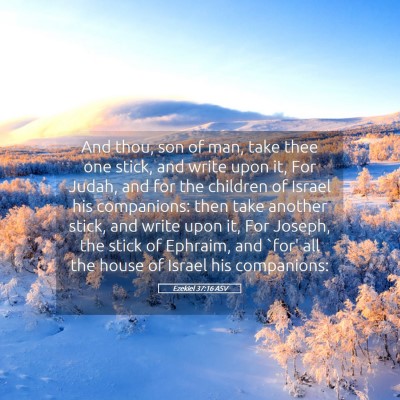 Picture 05 - Ezekiel 37:16 ASV - And thou, son of man, take thee one stick, and - Bible Verse Picture