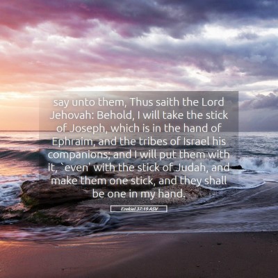 Picture 05 - Ezekiel 37:19 ASV - say unto them, Thus saith the Lord Jehovah: - Bible Verse Picture
