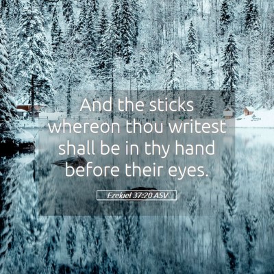 Picture 05 - Ezekiel 37:20 ASV - And the sticks whereon thou writest shall be in - Bible Verse Picture