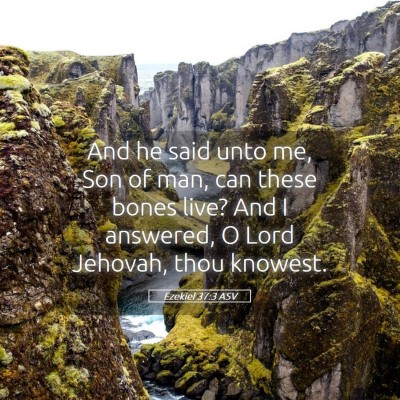 Picture 05 - Ezekiel 37:3 ASV - And he said unto me, Son of man, can these bones - Bible Verse Picture