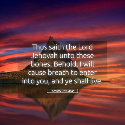 Picture 05 - Ezekiel 37:5 ASV - Thus saith the Lord Jehovah unto these bones: - Bible Verse Picture