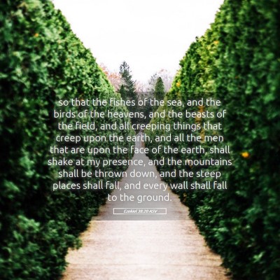 Picture 05 - Ezekiel 38:20 ASV - so that the fishes of the sea, and the birds of - Bible Verse Picture