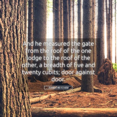 Picture 05 - Ezekiel 40:13 ASV - And he measured the gate from the roof of the one - Bible Verse Picture