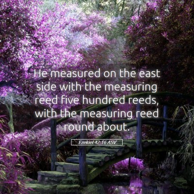 Picture 05 - Ezekiel 42:16 ASV - He measured on the east side with the measuring - Bible Verse Picture