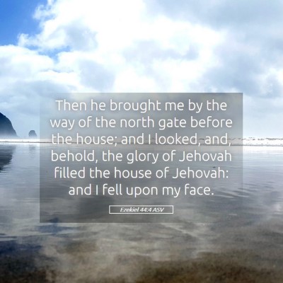 Picture 05 - Ezekiel 44:4 ASV - Then he brought me by the way of the north gate - Bible Verse Picture