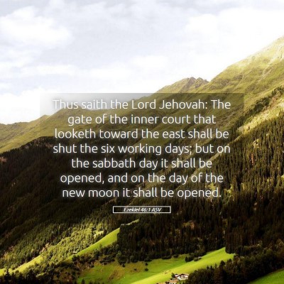 Picture 05 - Ezekiel 46:1 ASV - Thus saith the Lord Jehovah: The gate of the - Bible Verse Picture