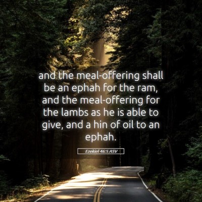 Picture 05 - Ezekiel 46:5 ASV - and the meal-offering shall be an ephah for the - Bible Verse Picture