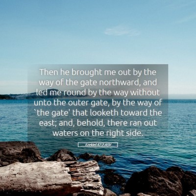 Picture 05 - Ezekiel 47:2 ASV - Then he brought me out by the way of the gate - Bible Verse Picture