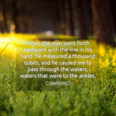 Picture 05 - Ezekiel 47:3 ASV - When the man went forth eastward with the line in - Bible Verse Picture