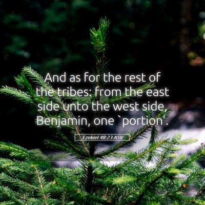 Picture 05 - Ezekiel 48:23 ASV - And as for the rest of the tribes: from the east - Bible Verse Picture
