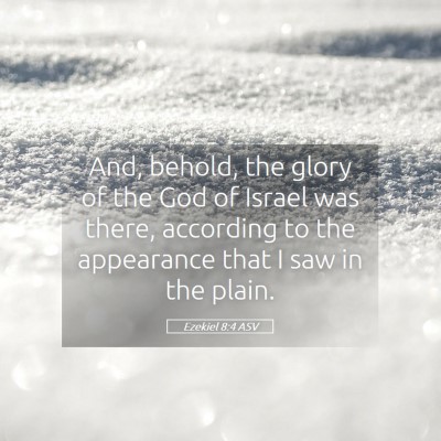 Picture 05 - Ezekiel 8:4 ASV - And, behold, the glory of the God of Israel was - Bible Verse Picture