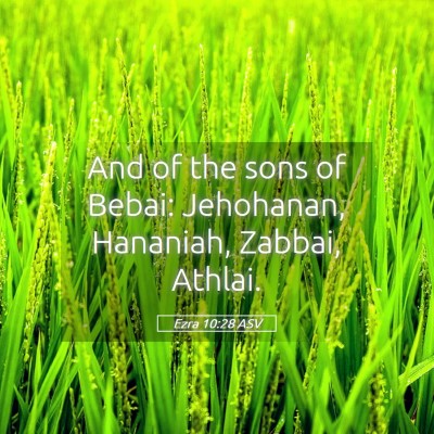 Picture 05 - Ezra 10:28 ASV - And of the sons of Bebai: Jehohanan, Hananiah, - Bible Verse Picture