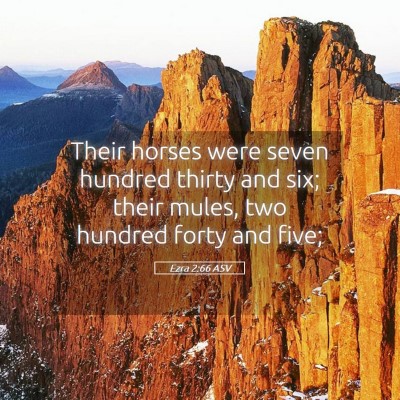 Picture 05 - Ezra 2:66 ASV - Their horses were seven hundred thirty and six; - Bible Verse Picture