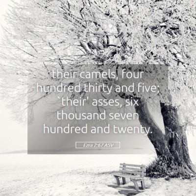 Picture 05 - Ezra 2:67 ASV - their camels, four hundred thirty and five; - Bible Verse Picture
