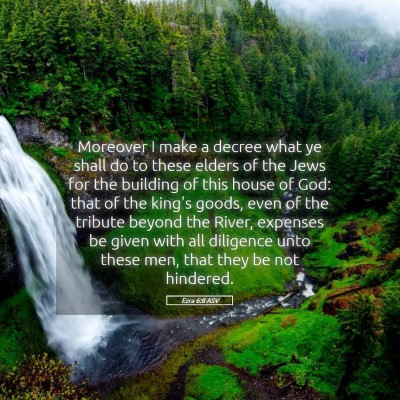 Picture 05 - Ezra 6:8 ASV - Moreover I make a decree what ye shall do to - Bible Verse Picture