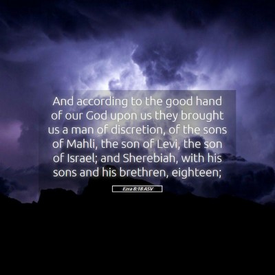 Picture 05 - Ezra 8:18 ASV - And according to the good hand of our God upon us - Bible Verse Picture
