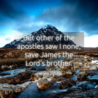 Picture 05 - Galatians 1:19 ASV - But other of the apostles saw I none, save James - Bible Verse Picture