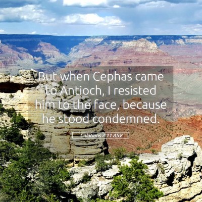 Picture 05 - Galatians 2:11 ASV - But when Cephas came to Antioch, I resisted him - Bible Verse Picture