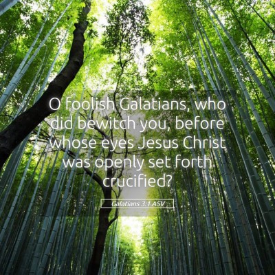 Picture 05 - Galatians 3:1 ASV - O foolish Galatians, who did bewitch you, before - Bible Verse Picture