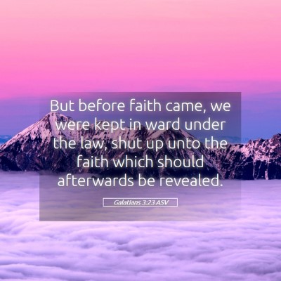 Picture 05 - Galatians 3:23 ASV - But before faith came, we were kept in ward under - Bible Verse Picture