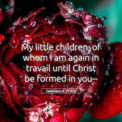 Picture 05 - Galatians 4:19 ASV - My little children, of whom I am again in travail - Bible Verse Picture