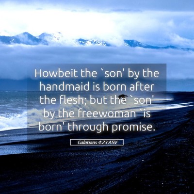 Picture 05 - Galatians 4:23 ASV - Howbeit the `son' by the handmaid is born after - Bible Verse Picture