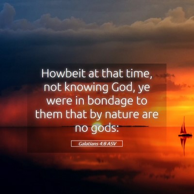 Picture 05 - Galatians 4:8 ASV - Howbeit at that time, not knowing God, ye were in - Bible Verse Picture