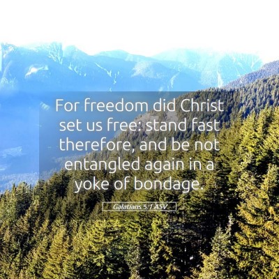 Picture 05 - Galatians 5:1 ASV - For freedom did Christ set us free: stand fast - Bible Verse Picture