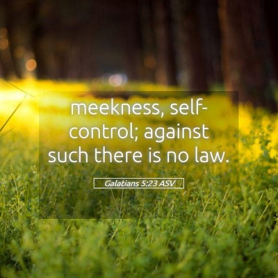Picture 05 - Galatians 5:23 ASV - meekness, self-control; against such there is no - Bible Verse Picture