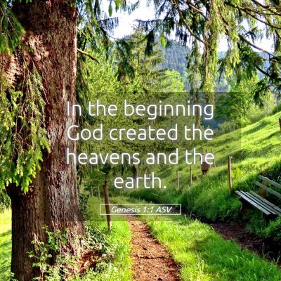 Picture 05 - Genesis 1:1 ASV - In the beginning God created the heavens and the - Bible Verse Picture