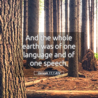 Picture 05 - Genesis 11:1 ASV - And the whole earth was of one language and of - Bible Verse Picture