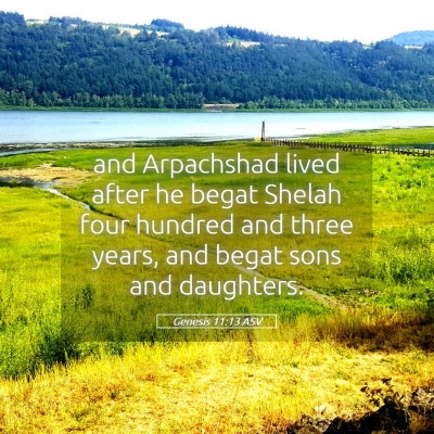Picture 05 - Genesis 11:13 ASV - and Arpachshad lived after he begat Shelah four - Bible Verse Picture