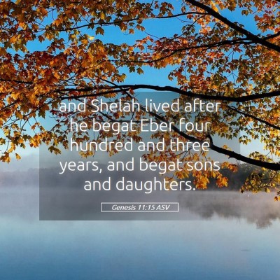 Picture 05 - Genesis 11:15 ASV - and Shelah lived after he begat Eber four hundred - Bible Verse Picture