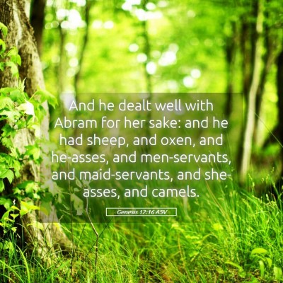 Picture 05 - Genesis 12:16 ASV - And he dealt well with Abram for her sake: and he - Bible Verse Picture