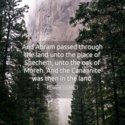Picture 05 - Genesis 12:6 ASV - And Abram passed through the land unto the place - Bible Verse Picture