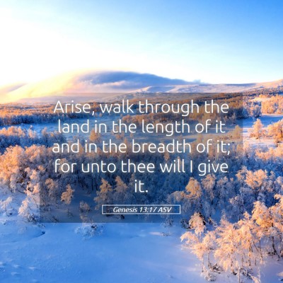 Picture 05 - Genesis 13:17 ASV - Arise, walk through the land in the length of it - Bible Verse Picture