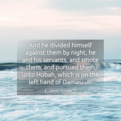 Picture 05 - Genesis 14:15 ASV - And he divided himself against them by night, he - Bible Verse Picture