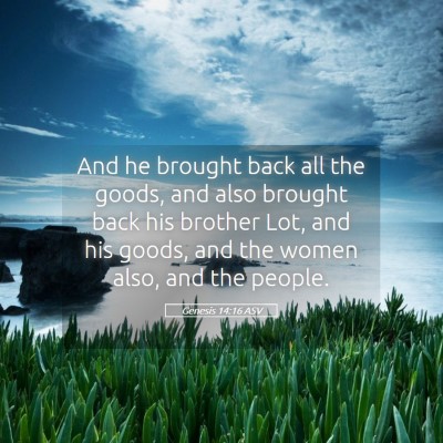 Picture 05 - Genesis 14:16 ASV - And he brought back all the goods, and also - Bible Verse Picture