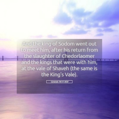 Picture 05 - Genesis 14:17 ASV - And the king of Sodom went out to meet him, after - Bible Verse Picture