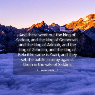 Picture 05 - Genesis 14:8 ASV - And there went out the king of Sodom, and the - Bible Verse Picture