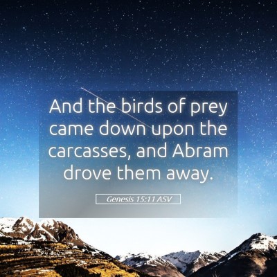 Picture 05 - Genesis 15:11 ASV - And the birds of prey came down upon the - Bible Verse Picture