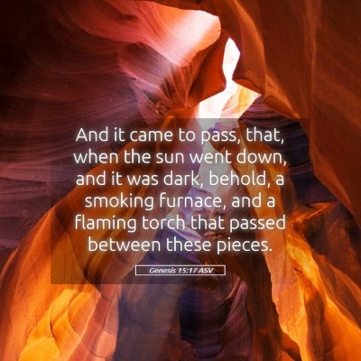 Picture 05 - Genesis 15:17 ASV - And it came to pass, that, when the sun went - Bible Verse Picture