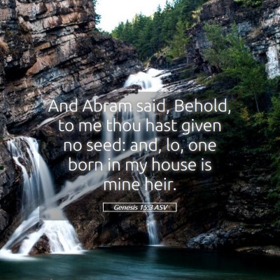 Picture 05 - Genesis 15:3 ASV - And Abram said, Behold, to me thou hast given no - Bible Verse Picture